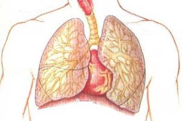 Plicní absces, co to je a jak se léčit? / Absces | Užitečné informace a tipy na péči o sebe. Zdraví, výživa a další.