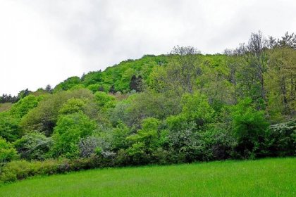 Soubor:PP Špičák u Vojkovic celkový pohled na přírodní památku od jihovýchodu (2).jpg – Wikipedie