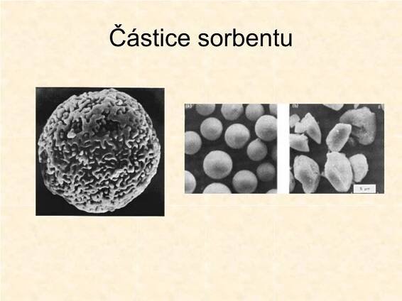 PPT - Isolace enzymů PowerPoint Presentation, free download - ID:1330873