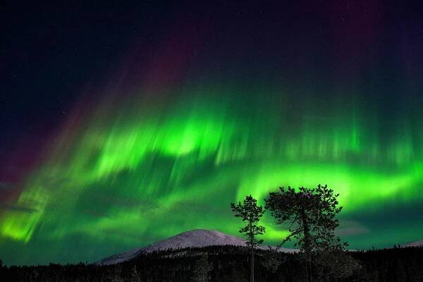 Northern lights forecast for US skies amid powerful ‘cannibal’ solar storm