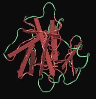 Soubor:Interleukin-1b crystal stru.jpg