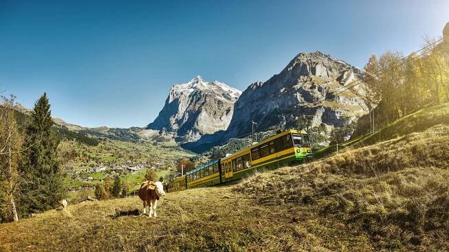Wengernalpbahn