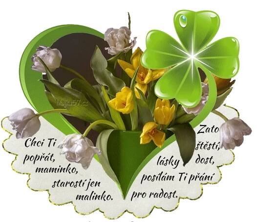 prani_k_svatku_matek_2