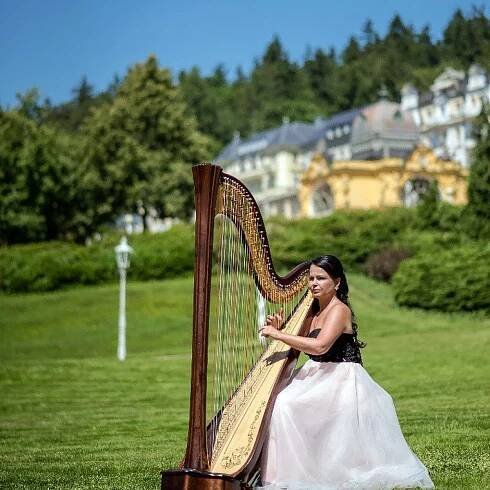 Harfistka / Katarína Ševčíková