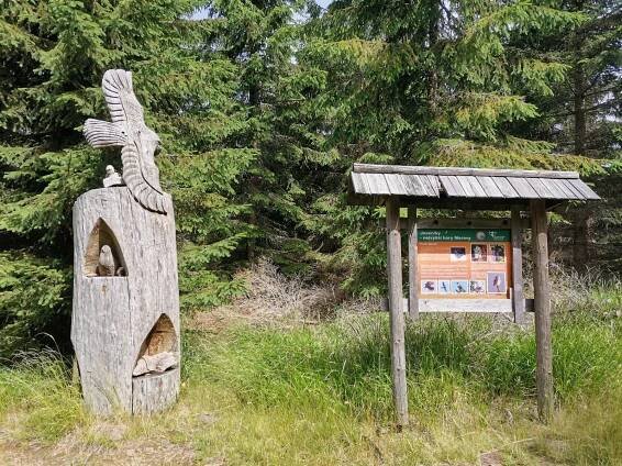 Šárka - výlet 32VJ * Dlouhé stráně přes Vřesník z Koutů nad Desnou - Vrcholovka.cz