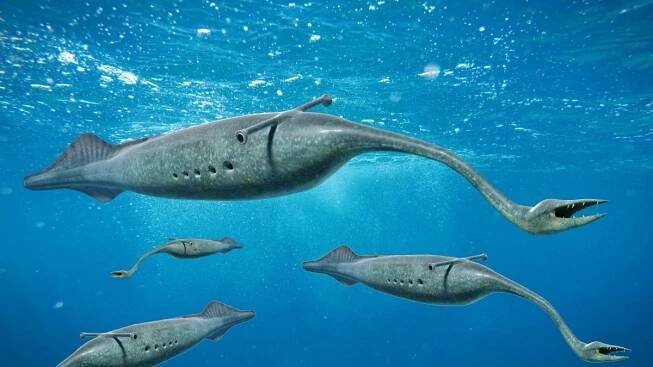 Tully monster několik jedinců vyhynulého rodu tullimoster.