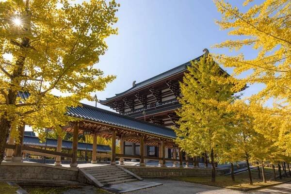 Cultural Experiences Amid Snow and Cherry Blossoms: Exciting Events to Kick Off 2024 | Blog | Travel Japan (Japan National