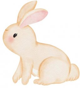 rabbit watercolor cartoon 25174351 PNG