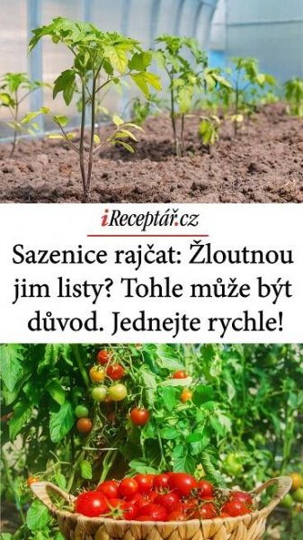 a basket full of tomatoes sitting in the middle of a garden with words describing how to grow