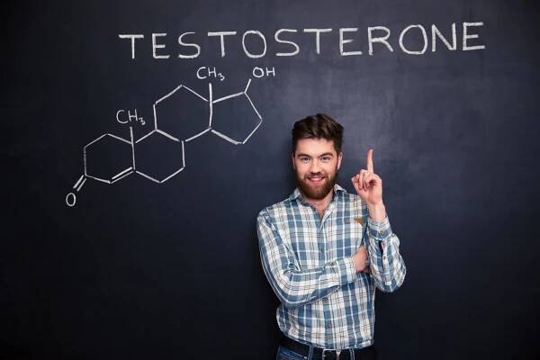 Testosteron je zodpovědný také za kognitivní funkce, stav srdce a ledvin