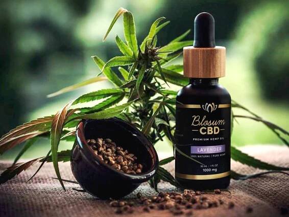 CBD tincture
