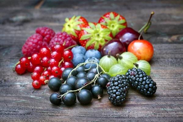 Lesní plody – zdroj vitamínů a minerálů pro každého