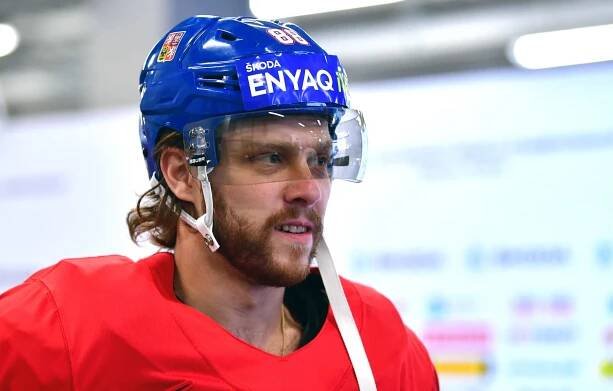 David Pastrňák je pro českou hokejovou reprezentaci velkou posilou.