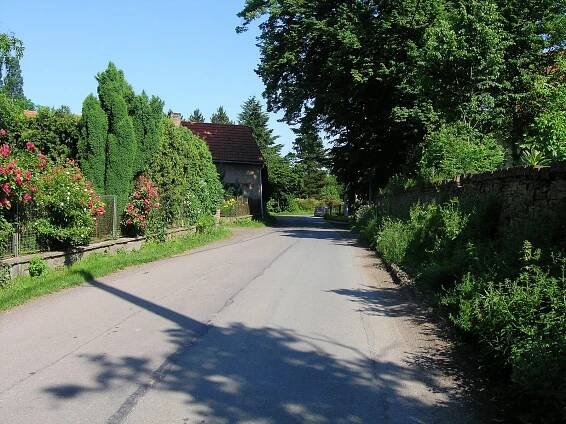 Soubor:Radějovice, Olešky, Road to Křížkový Újezdec.jpg