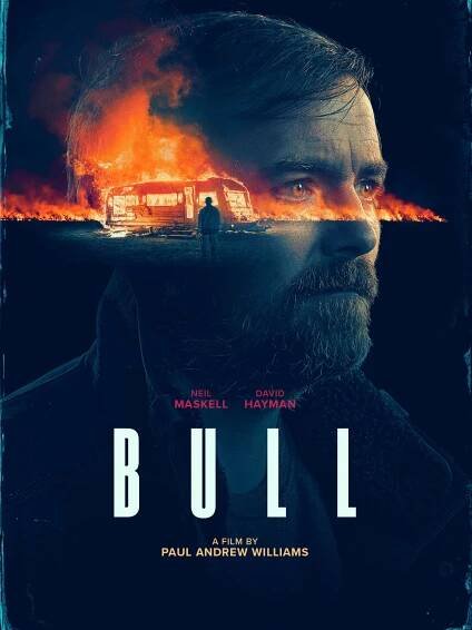 Bull