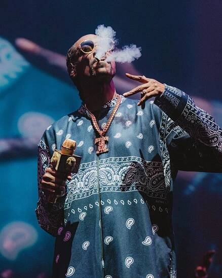 Cali Vibes Fest 2023 | Silverback Artist Management