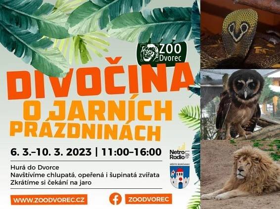 Divočina o jarních prázdninách | ZOO Dvorec - máme rádi zvířata