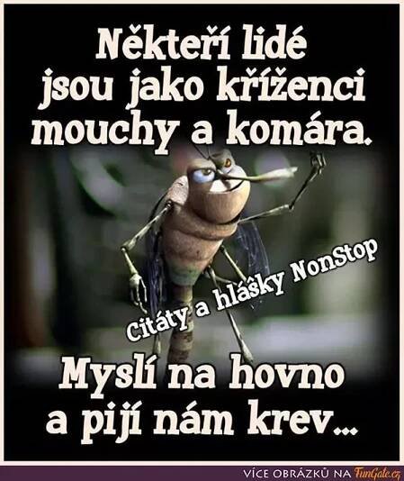 Někteří lidé jsou jako kříženci | Obrázky | FunGate.cz nel 2025
