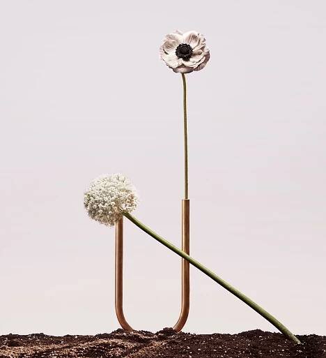 image by Craig Reynolds
