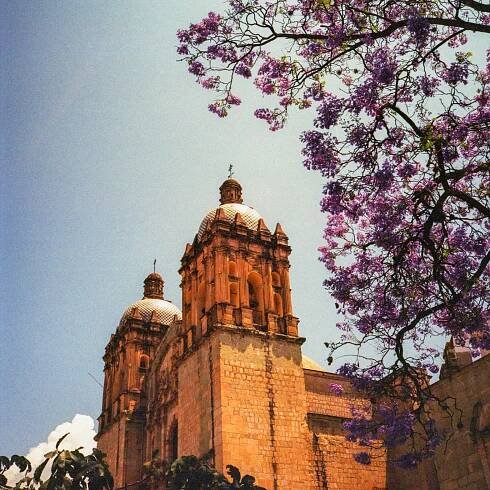 Kate Anderson - Oaxaca, Mexico