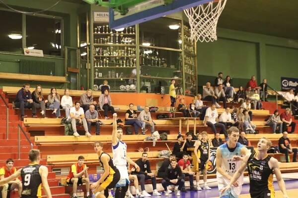Sokol Pražský - GBA LIONS Jindřichův Hradec | Sokol Pražský