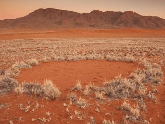 Namibia on the road: come pianificare il tuo viaggio - I Viaggi di Fois