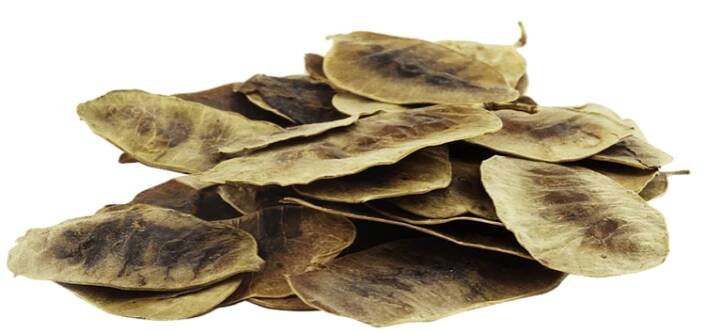 LEROS List senny 40 g