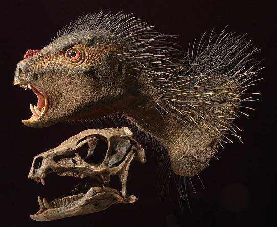 Dinosauří bratranec, který naboural zažité představy a zamotal vědcům hlavu