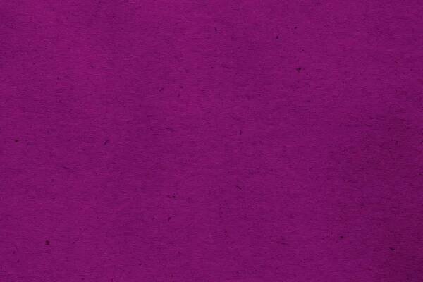 magenta cardboard paper