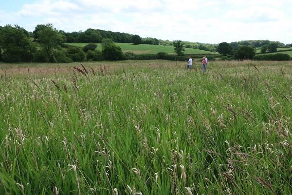 Chesham, Buckinghamshire (BGI)