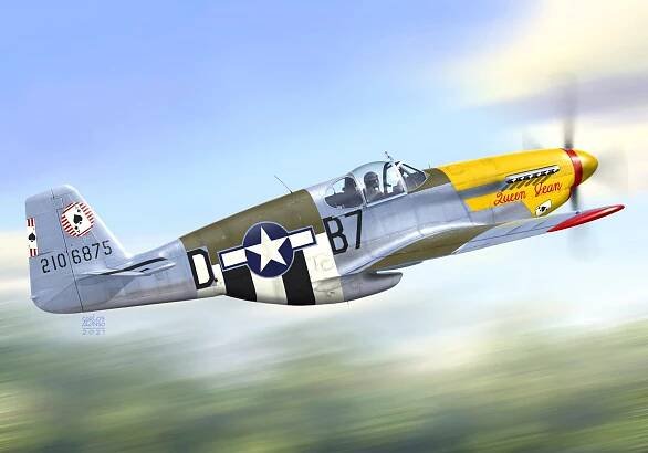 P-51B Mustang Malcolm