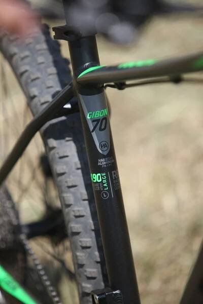 Kellys Gibon 70