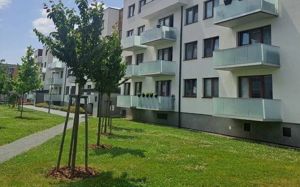2+kk, Olomouc, 779 00, 56 m²