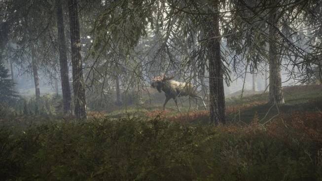 The Hunter: Call of the Wild (2019 Edition) (PS4) | Kuma.cz