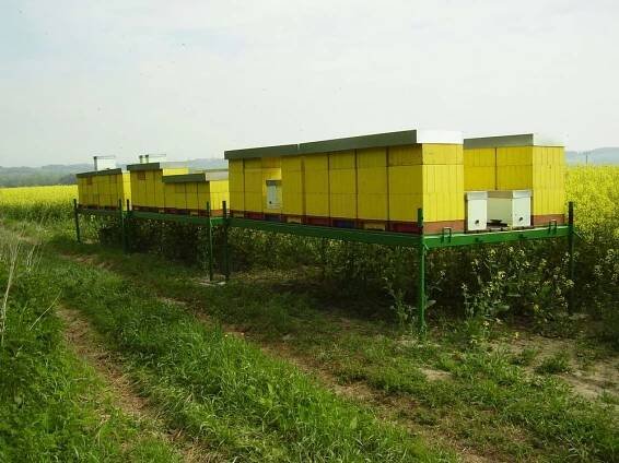 Speciální rámy pro převoz - Včelí farma Skalička