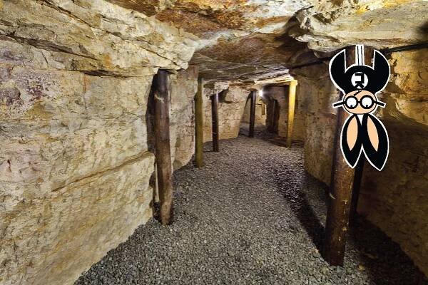Kristýna Kočí | Turistické informační centrum Mělník