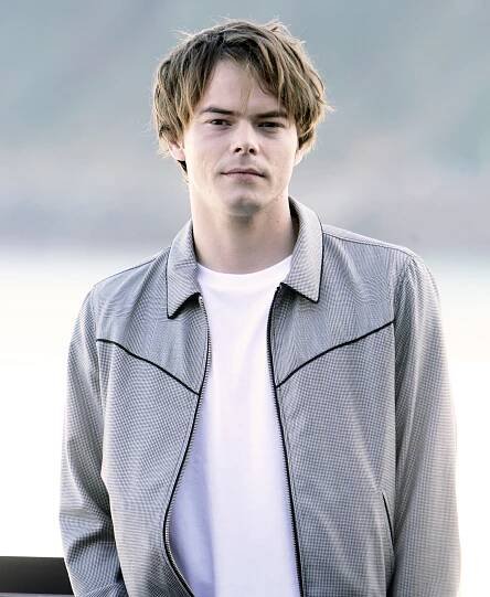 Stranger Things' Charlie Heaton Has a Son With Akiko Matsuura