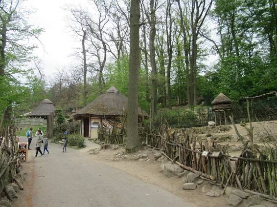 Viky's Pages / ZOO Zlín, 28. 4. 2019