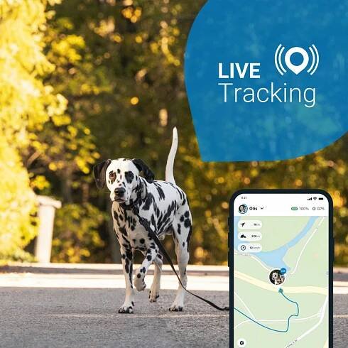 Tractive GPS DOG 4 tracker polohy a aktivity pro psy hnědý - GPS moduly - Obrázek XP2X600301