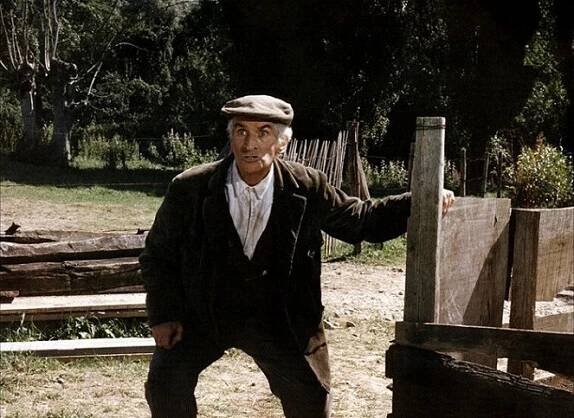 Zelňačka - Z filmu - Louis de Funès