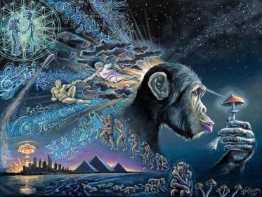 The Stoned Ape Theory: the wild idea that psychedelics shaped the evolution of humans