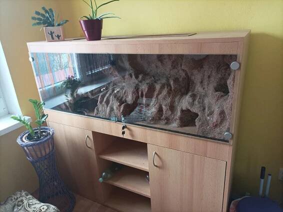 Terárium s 3D stěnou pro AGAMY VOUSATÉ - Zvířata