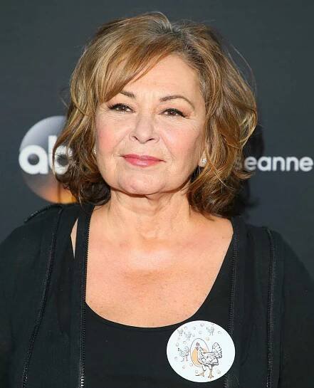 Roseanne Barr Feels 'Misunderstood' After Racist Tweet Scandal: 'She's in Deep Darkness'