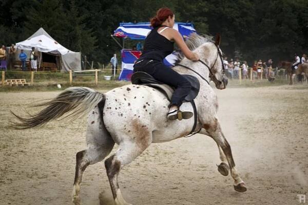 Hobby závody Sorkov-foto TOMÁŠ HLAVÁČ - Ranch Eldorado
