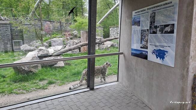 Zoo Krakov - oáza divočiny na okraji historického města