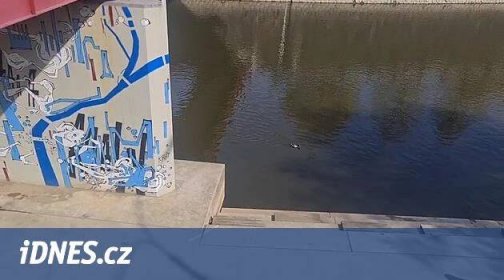 V řece Radbuze v Plzni byla nalezena lidská hlava - iDNES.tv