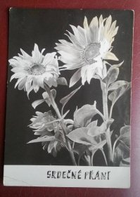 Staré pohlednice, přáníčko - flora, vf
