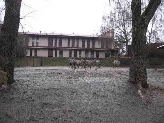 Vánoce v ZOO primy | Gymnázium Broumov
