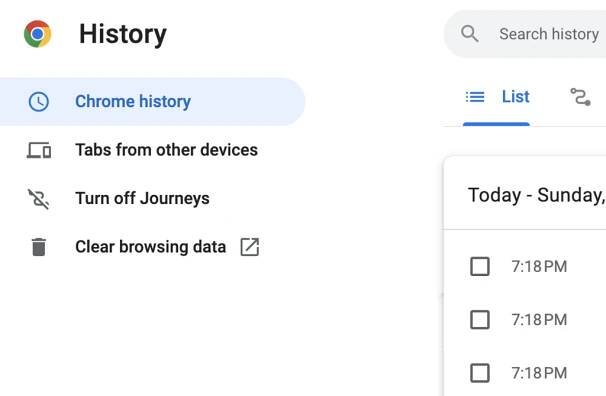 GoogleChromeHistoryPage.PNG