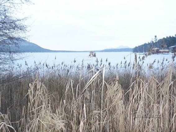 Velký rybník, kterému říkáme jezero (Mácháč)